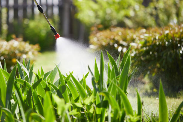 24/7 Emergency Wasp Removal experts in Point Pleasant, WV