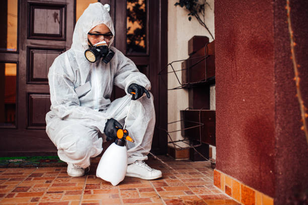 Reliable Wasp Removal contractor in Point Pleasant, WV by Show Me Pest Control
