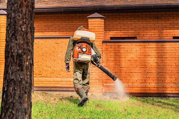 Top rated local Wasp Removal specialists in Point Pleasant, WV